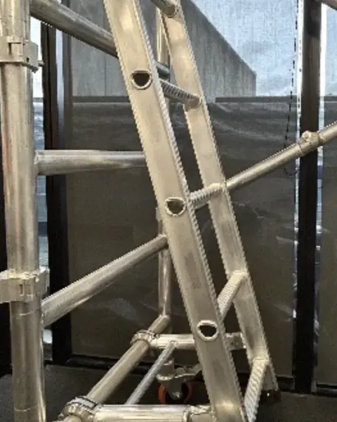 Easy Access Ladder